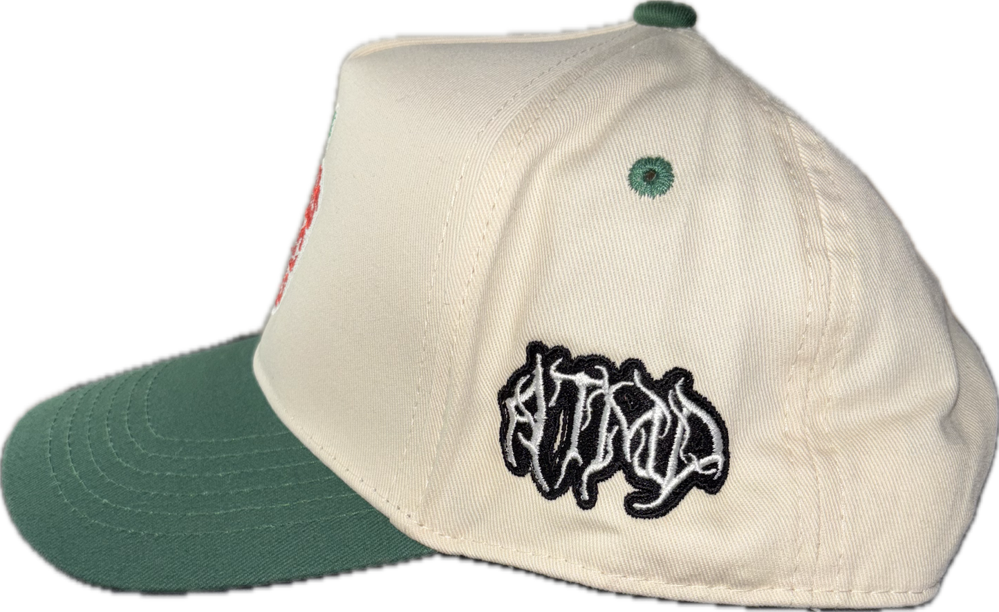 Columbus public schools snapback (Green)