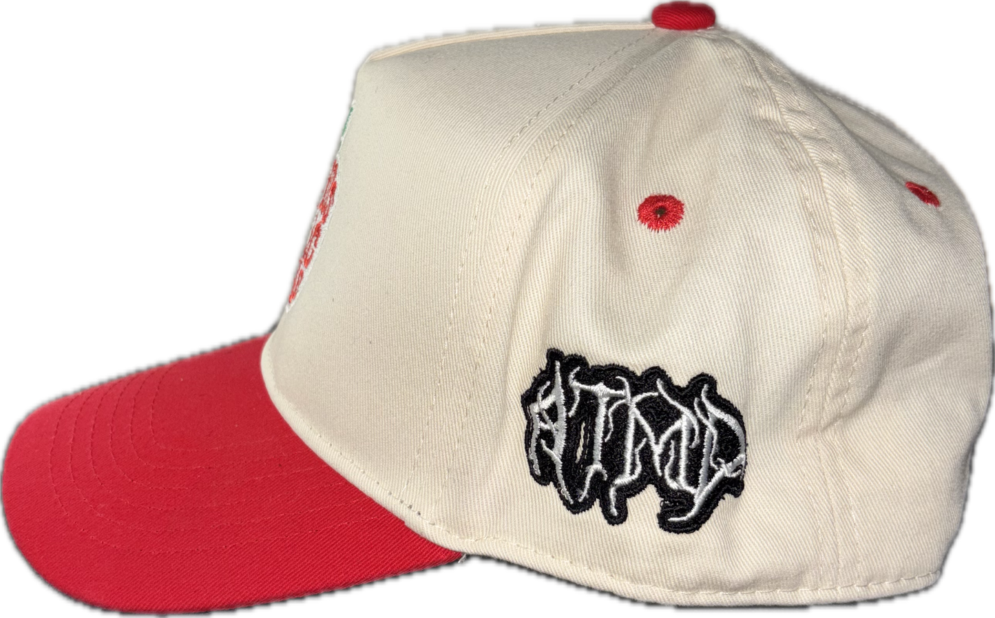 Columbus public schools snapback (Red)