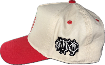 Columbus public schools snapback (Red)