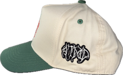 Columbus public schools snapback (Green)