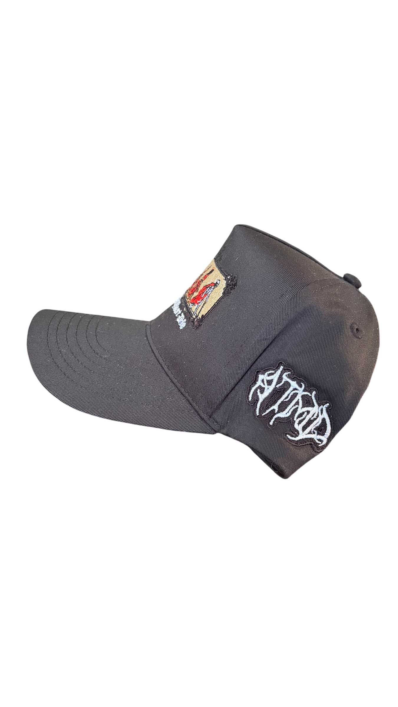 9f. Evolution Cap (Black)